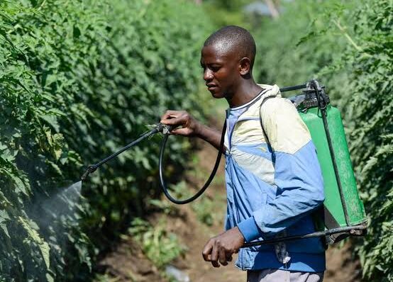 Africa Faces Growing Economic Pressure as Global Tensions Disrupt Supply Chains