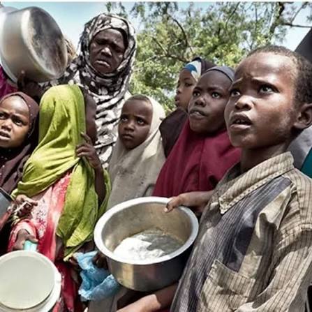 Northern Nigeria Food Crisis: 17 Million Face Hunger