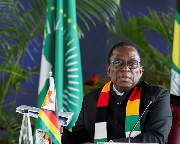 Mnangagwa Sued in ConCourt Over Senate Appointments