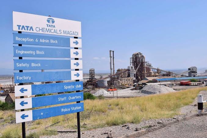Ruto Orders Tata Chemicals Out of Kenya Over Lake Magadi